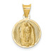 14K Yellow Gold Polished & Diamond-cut Lady of Guadalupe Circle Pendant - (A85-611) 14K Yellow Gold Polished & Diamond-cut Lady of Guadalupe Circle Pendant - (A85-611)