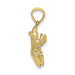10K Yellow Gold Textured Top View Frog Charm Pendant - (A88-396) 10K Yellow Gold Textured Top View Frog Charm Pendant - (A88-396)