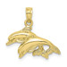 10K Yellow Gold Polished Double Dolphins Jumping Left Charm Pendant - (A88-524) 10K Yellow Gold Polished Double Dolphins Jumping Left Charm Pendant - (A88-524)