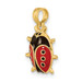14K Yellow Gold 3-D Enamel Ladybug Charm Pendant - (A91-368) 14K Yellow Gold 3-D Enamel Ladybug Charm Pendant - (A91-368)
