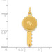 14K Yellow Gold Hearts On Key Charm Pendant - (A98-553) 14K Yellow Gold Hearts On Key Charm Pendant - (A98-553)
