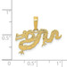 14K Yellow Gold Dragon Pendant - (A84-350) 14K Yellow Gold Dragon Pendant - (A84-350)