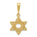 14K Yellow Gold Jewish Star Charm - (A84-552) 14K Yellow Gold Jewish Star Charm - (A84-552)