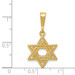 14K Yellow Gold Jewish Star Charm - (A84-552) 14K Yellow Gold Jewish Star Charm - (A84-552)