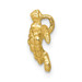 14k Yellow Gold Polished Small Sea Turtle Chain Slide - (A85-901) 14k Yellow Gold Polished Small Sea Turtle Chain Slide - (A85-901)