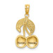 14K Yellow Gold With Enamel 2-D Cherries With stem & Leaf Charm Pendant - (A90-958)