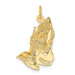 14K Yellow Gold Praying Hands Pendant - (A82-886)