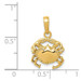 14K Yellow Gold Solid Polished Open-Backed Crab Pendant - (A84-268) 14K Yellow Gold Solid Polished Open-Backed Crab Pendant - (A84-268)