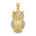 14K Two-tone Gold with Rhodium Polished & Textured Owl Pendant - (A87-344) 14K Two-tone Gold with Rhodium Polished & Textured Owl Pendant - (A87-344)
