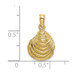 14K Yellow Gold Clam Shell Charm Pendant - (A92-169)