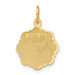 14K Yellow Gold Registered Nurse Disc Charm - (A82-924)