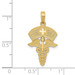 14K Yellow Gold Caduceus with Nurses Cap Pendant - (A82-998)
