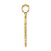 14K Yellow Gold Caduceus with Nurses Cap Pendant - (A82-998)