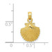 14K Yellow Gold Scallop Shell Pendant 12mm width - (A85-484)