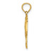 14K Yellow Gold 2-D & Polished Rehoboth With Jumping Dolphins Charm Pendant - (A92-174)