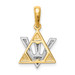 14K Yellow Gold Star of David with Shin Charm - (A85-414) 14K Yellow Gold Star of David with Shin Charm - (A85-414)