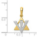14K Yellow Gold Star of David with Shin Charm - (A85-414) 14K Yellow Gold Star of David with Shin Charm - (A85-414)