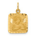 14K Yellow Gold Satin & Diamond-cut Angel Charm - (A86-933) 14K Yellow Gold Satin & Diamond-cut Angel Charm - (A86-933)