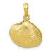 10K Yellow Gold Medium Clam Shell Pendant - (A88-366)