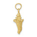 10K Yellow Gold 3-D Conch Shell - (A88-732)