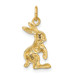 14K Yellow Gold Jack Rabbit Charm - (A82-885) 14K Yellow Gold Jack Rabbit Charm - (A82-885)