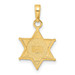 14K Yellow Gold Deputy Sheriff Badge with Bear Pendant - (A82-996)
