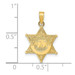 14K Yellow Gold Deputy Sheriff Badge with Bear Pendant - (A82-996)
