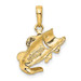 14K Yellow Gold Small Fish Charm - (A85-619) 14K Yellow Gold Small Fish Charm - (A85-619)