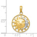 14K Yellow Gold Two-tone Sun & Moon Charm - (A86-521) 14K Yellow Gold Two-tone Sun & Moon Charm - (A86-521)
