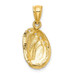 14K Yellow Gold 2-D Abalone Shell Charm Pendant - (A91-610)