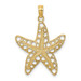 14K Yellow Gold Cutout Starfish Charm Pendant - (A92-329) 14K Yellow Gold Cutout Starfish Charm Pendant - (A92-329)