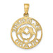14K Yellow Gold St. George Island Disk With Dolphins Charm Pendant - (A92-809)
