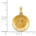 14K Yellow Gold Polished & Satin Finish St. Mark Medal Pendant 15mm width - (B11-411) 14K Yellow Gold Polished & Satin Finish St. Mark Medal Pendant 15mm width - (B11-411)