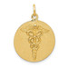 14K Yellow Gold Caduceus Disc Charm - (A82-523)