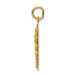 14K Yellow Gold Caduceus Disc Charm - (A82-523)