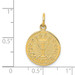 14K Yellow Gold Satin & Polished Communion Charm - (A82-884) 14K Yellow Gold Satin & Polished Communion Charm - (A82-884)