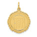 14K Yellow Gold Registered Nurse Disc Charm - (A82-965)