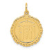 14K Yellow Gold Registered Nurse Disc Charm - (A82-965)