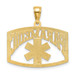 14K Yellow Gold Paramedic Charm Pendant - (A90-241)