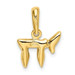14K Yellow Gold Chai Pendant 18mm length - (A85-230)