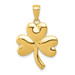 14K Yellow Gold Shamrock Charm - (A85-470)