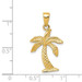 14K Yellow Gold Palm Tree Pendant - (A85-564)