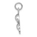 14K White Gold Dolphin Charm Pendant - (A98-475) 14K White Gold Dolphin Charm Pendant - (A98-475)