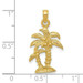 14K Yellow Gold Gold Polished and Textured Double Palm Trees Pendant - (A87-306) 14K Yellow Gold Gold Polished and Textured Double Palm Trees Pendant - (A87-306)