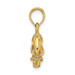 14K Yellow Gold 3-D Textured & Polished Toucan Bird Charm Pendant - (A91-260)