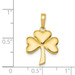 14K Yellow Gold Polished Solid Shamrock Pendant - (A83-480) 14K Yellow Gold Polished Solid Shamrock Pendant - (A83-480)