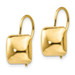 14K Yellow Gold Polished 9.5mm Puffed Square Kidney Wire Earrings - (B36-836)