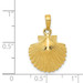 14K Yellow Gold Scallop Shell Pendant 15mm width - (A85-385)
