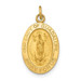 14K Yellow Gold Polished and Satin Our Lady of Guadalupe Medal Pendant 11mm width - (B11-188) 14K Yellow Gold Polished and Satin Our Lady of Guadalupe Medal Pendant 11mm width - (B11-188)