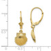 14K Yellow Gold Scallop Shell Leverback Earrings - (B36-974) 14K Yellow Gold Scallop Shell Leverback Earrings - (B36-974)